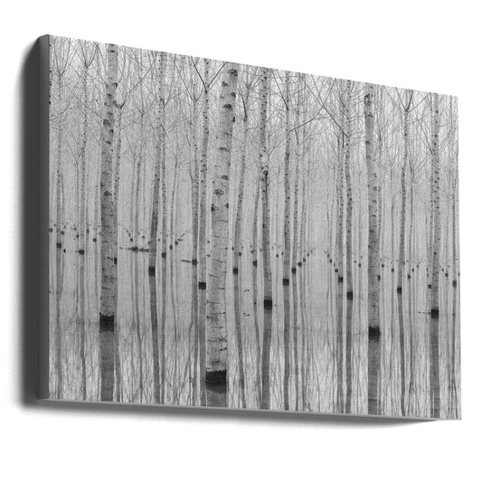  Novembre 2014 Wall Artwork Gallery Wrapped (Ready to Hang)