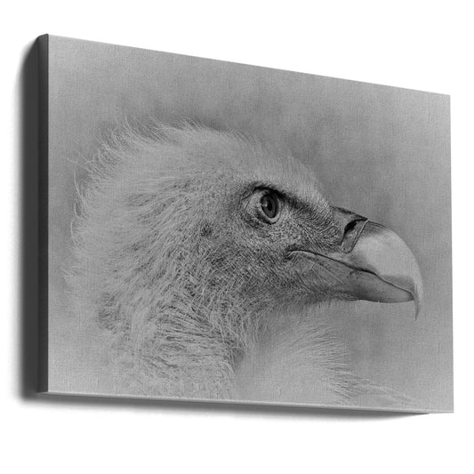 Artwork- Bald eagle-20X16inches-Gallery Wrapped (Ready to Hang)