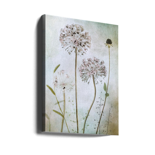  Allium Wall Artwork Gallery Wrapped (Ready to Hang)