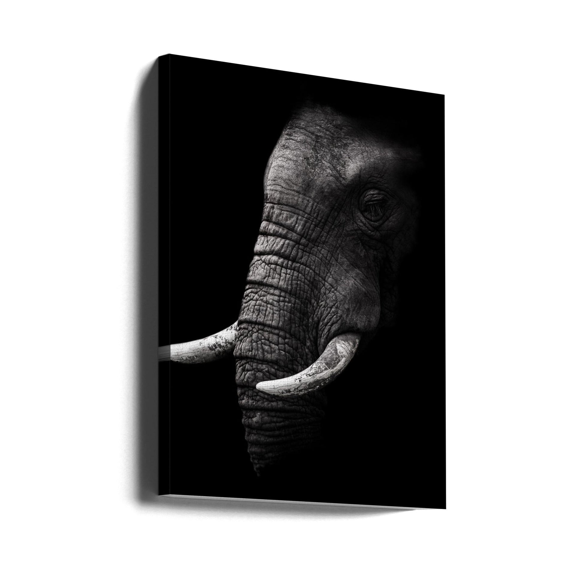  Portrait Wall Artwork Gallery Wrapped (Ready to Hang)