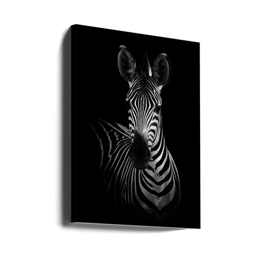  The Zebra Wall Artwork Gallery Wrapped (Ready to Hang)