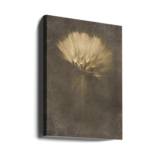 Mysterious Days Wall Artwork Gallery Wrapped (Ready to Hang)