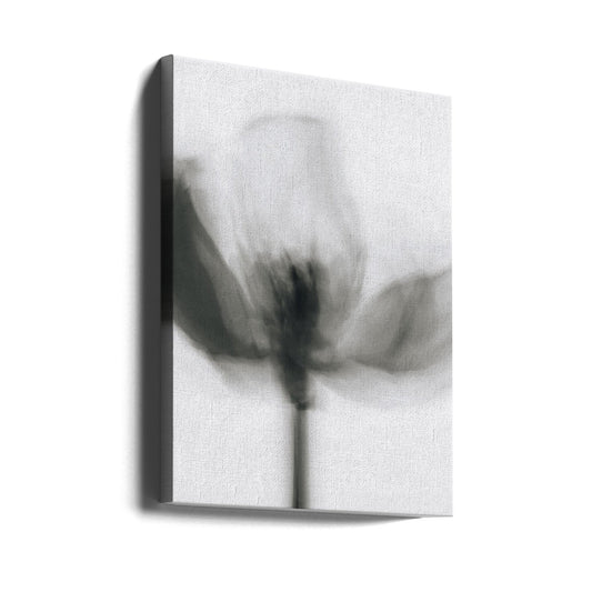 Artwork- Mono Tulip-16X20inches-Gallery Wrapped (Ready to Hang)