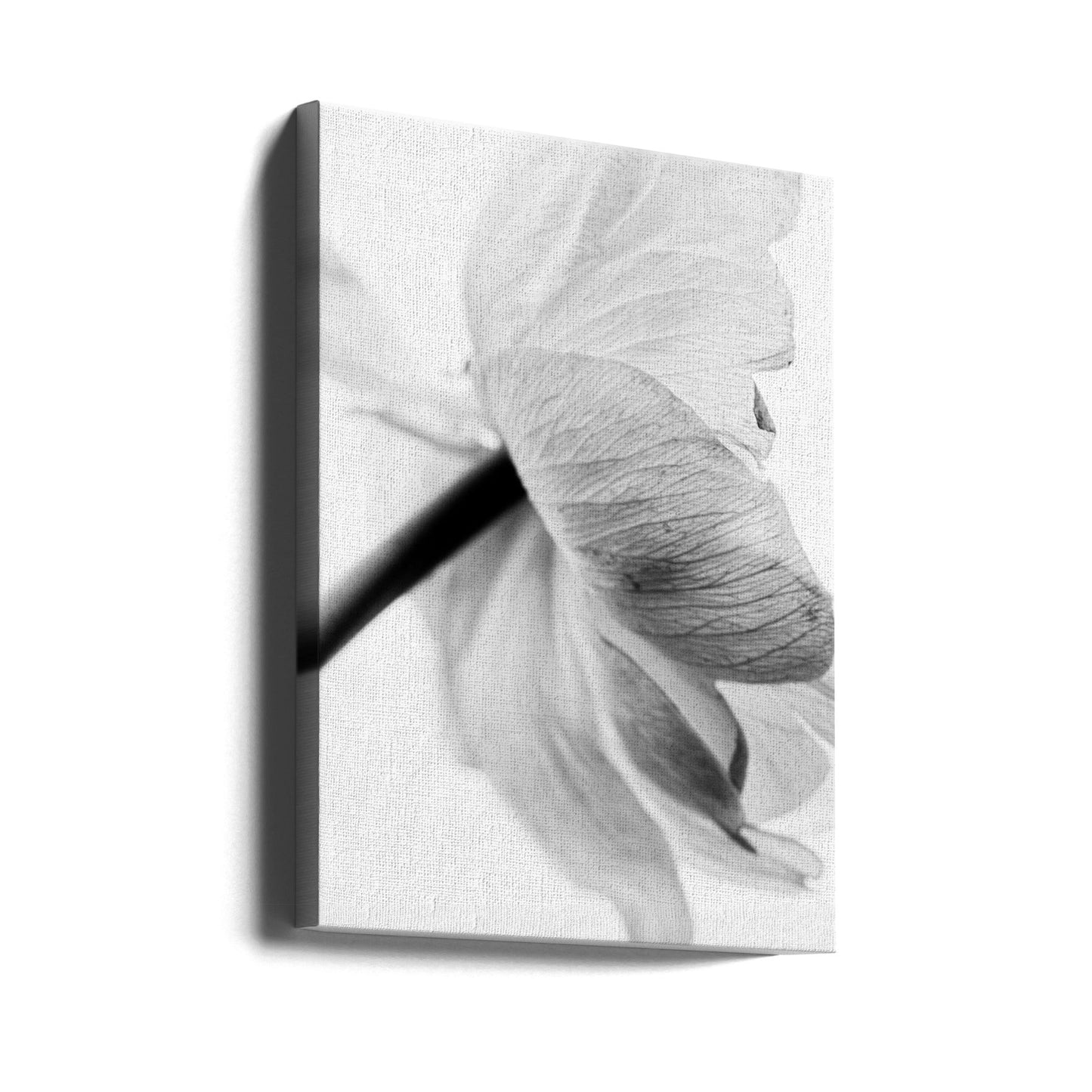  Blooming Flower Wall Artwork In Black Floating Frame