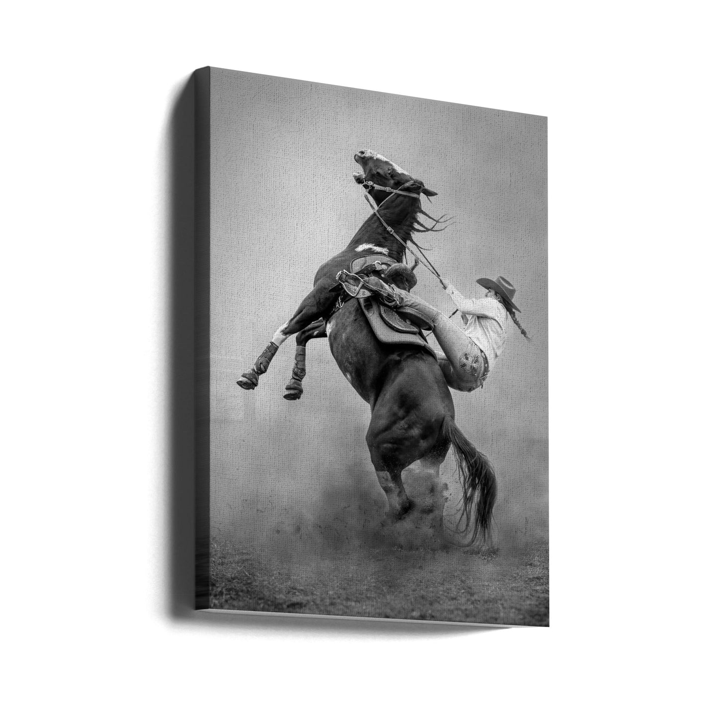  Startled Wall Artwork Gallery Wrapped (Ready to Hang)
