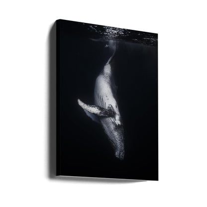  Black Whale Wall Artwork Gallery Wrapped (Ready to Hang)