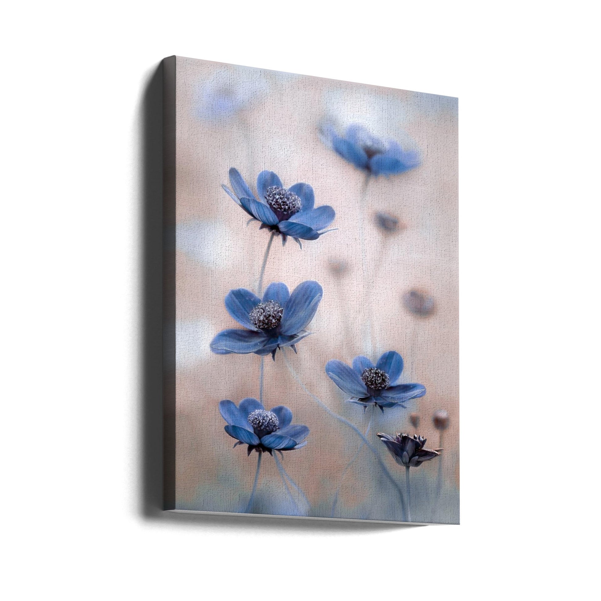  Cosmos blue Wall Artwork Gallery Wrapped (Ready to Hang)