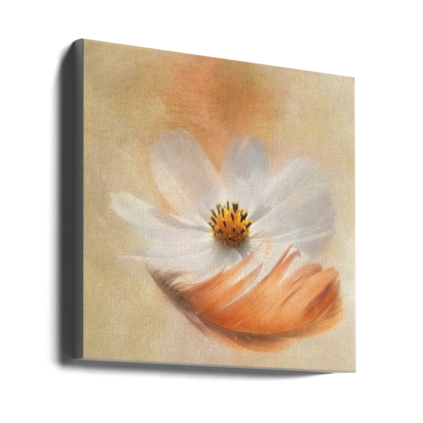  Light as a Feather Wall Artwork Gallery Wrapped (Ready to Hang)