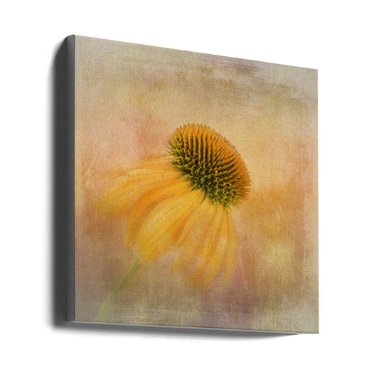 Echinacea in Yellow Wall Artwork Gallery Wrapped (Ready to Hang)