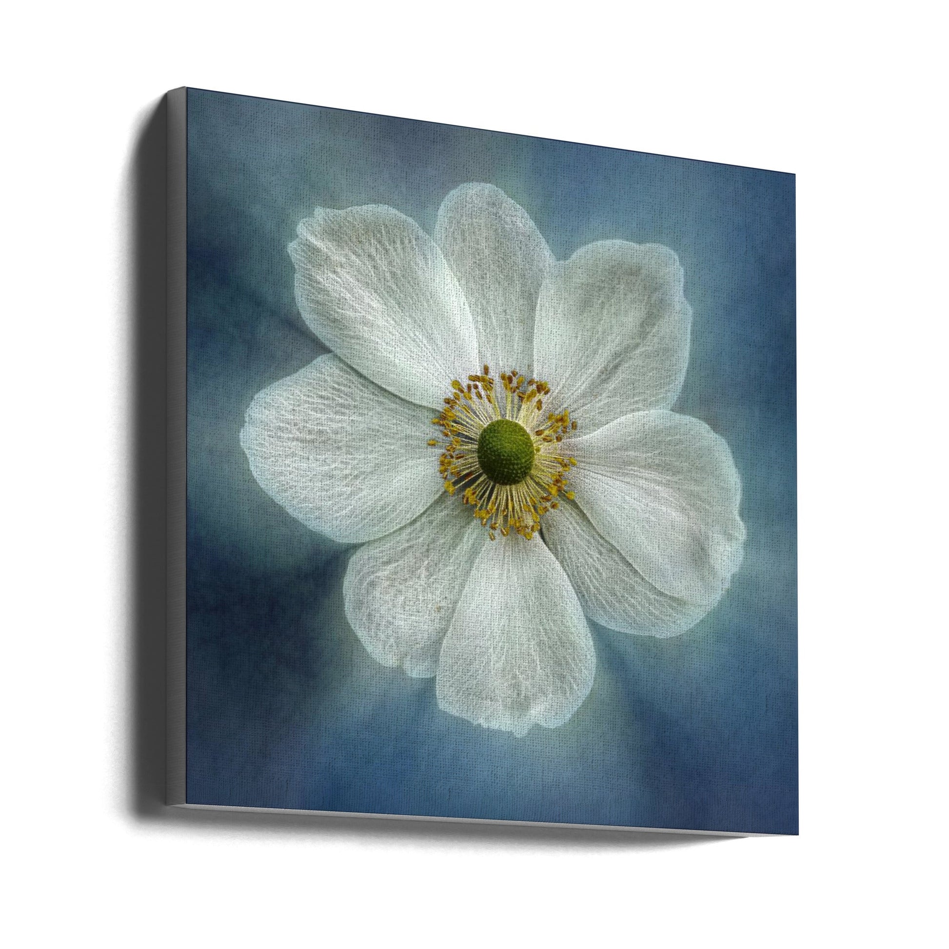  Princes Anne-Mone Wall Artwork In White Floating Frame