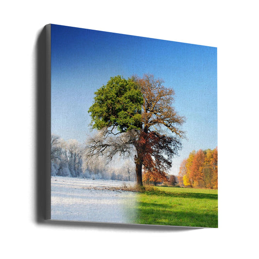  4 seasons Wall Artwork Gallery Wrapped (Ready to Hang)
