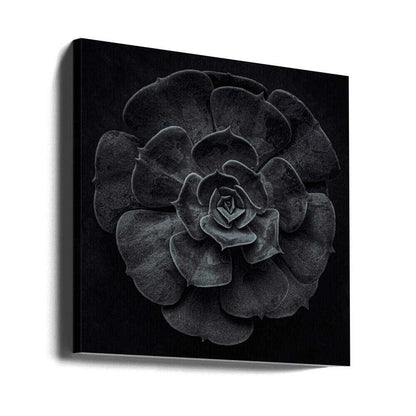 Wall art Cactus flower