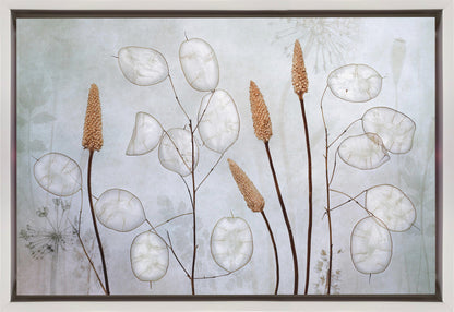  Lunaria Wall Artwork In Black Floating Frame