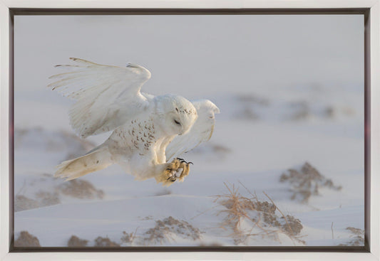 Wall art Landing-36X24inches-In Black Floating Frame