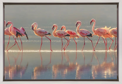  Flamingo Wall Artwork In Black Floating Frame
