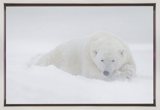 Wall art White-36X24inches-In Black Floating Frame