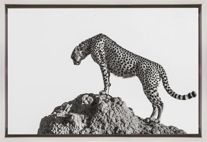  the hunter Wall Artwork In Black Floating Frame