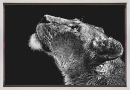  Looking Up Wall Artwork In Black Floating Frame