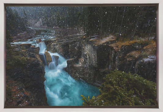 Wall art Surprise-36X24inches-In Black Floating Frame