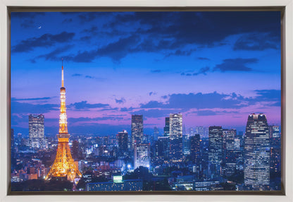 Tokyo night view