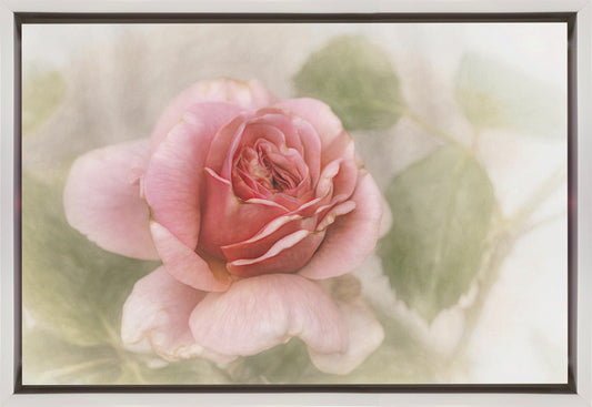 smooth rose Wall Artwork In Black Floating Frame