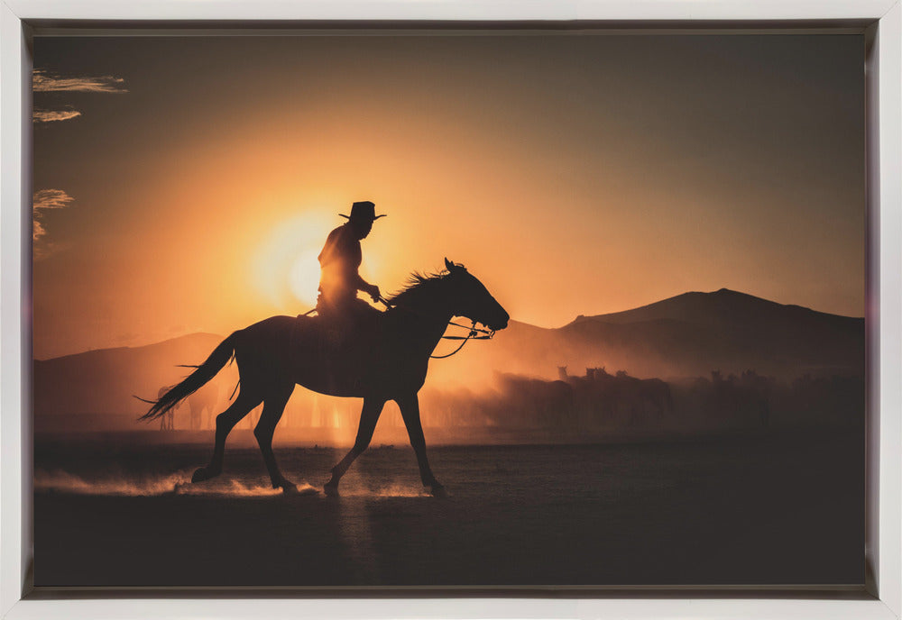 Shadow of rider-Artwork