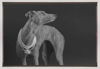 Wall art Whippet girl with the pearl necklace