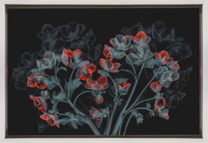 Wall art Beautiful Hellebores