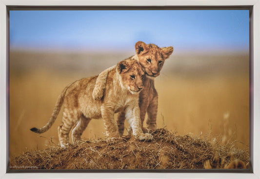  Brothers for Life Wall Artwork In Black Floating Frame