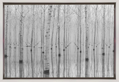  Novembre 2014 Wall Artwork In Black Floating Frame