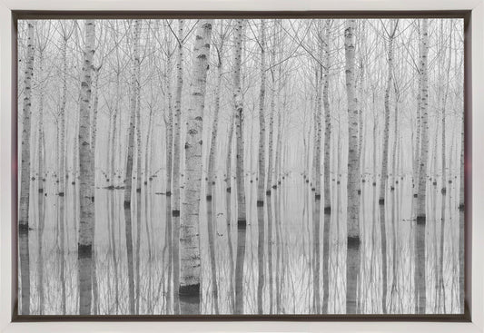  Novembre 2014 Wall Artwork In Black Floating Frame