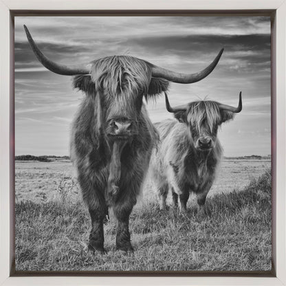  Highlands Wall Artwork In Black Floating Frame