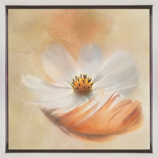 Light as a Feather Wall Artwork In Black Floating Frame