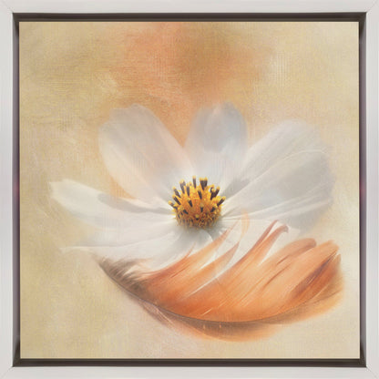  Light as a Feather Wall Artwork In Black Floating Frame