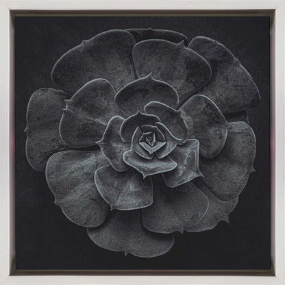 Wall art Cactus flower