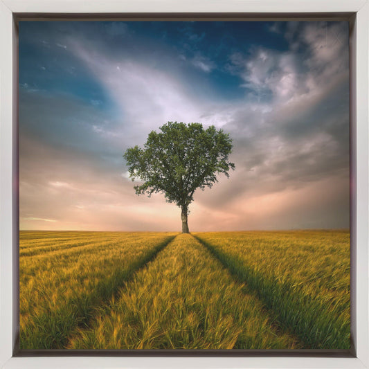 Artwork One24X24inches- Black Frame