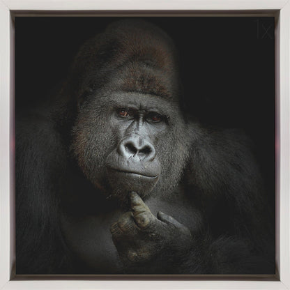  ego cogito, ergo sum Wall Artwork In Black Floating Frame