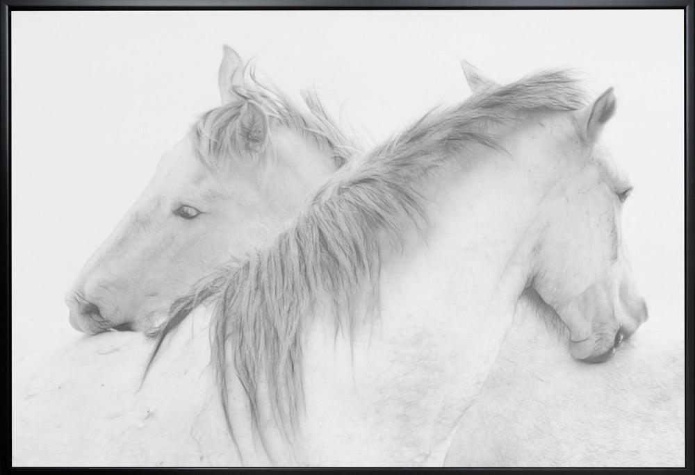  Horses Wall Artwork Gallery Wrapped (Ready to Hang)