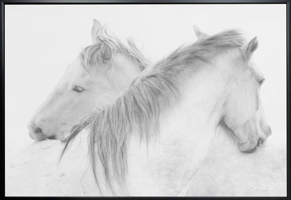  Horses Wall Artwork Gallery Wrapped (Ready to Hang)