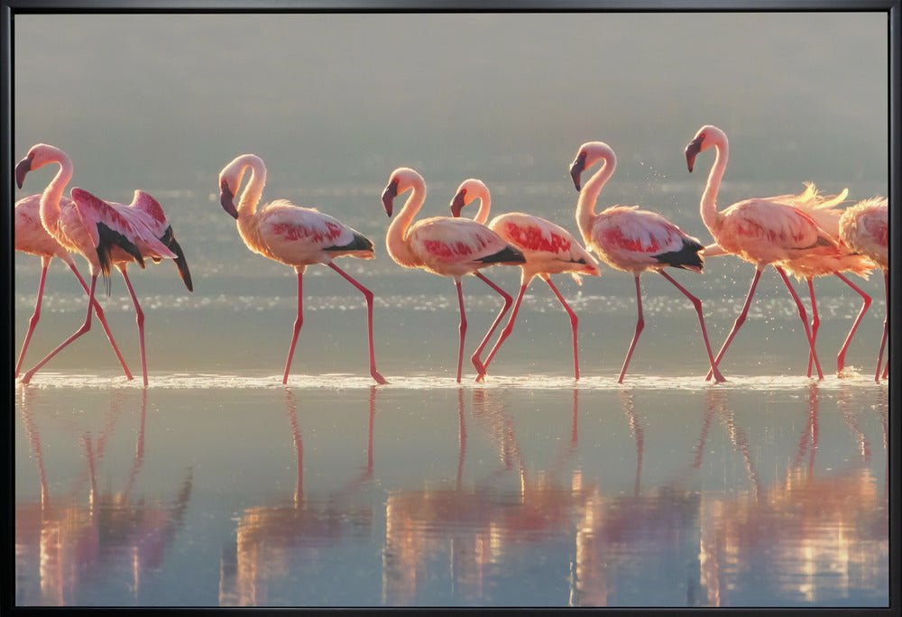  Flamingo Wall Artwork In White Floating Frame