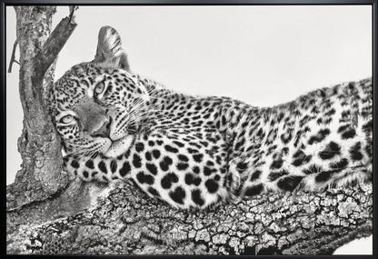  Time to rest Leopard Wall Artwork In White Floating Frame