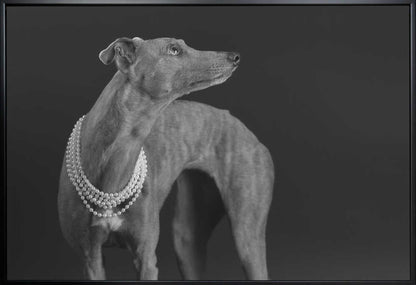 Wall art Whippet girl with the pearl necklace