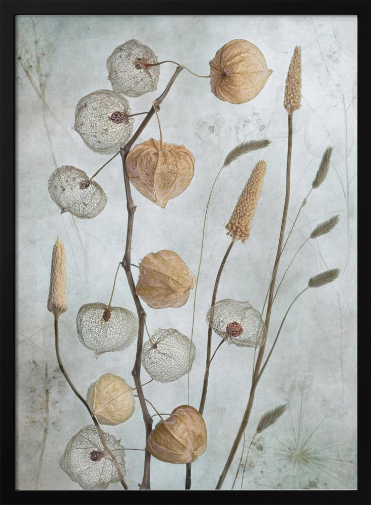  Lanterns* Wall Artwork Gallery Wrapped (Ready to Hang)
