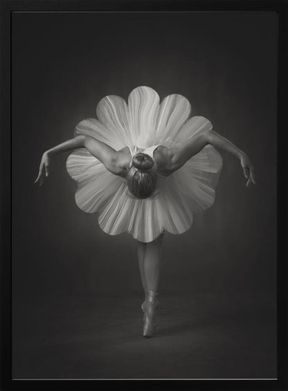  Floral Ballet Wall Artwork In White Floating Frame