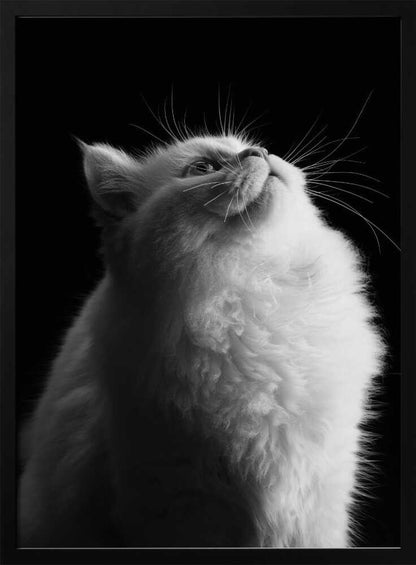 Wall art White in Black