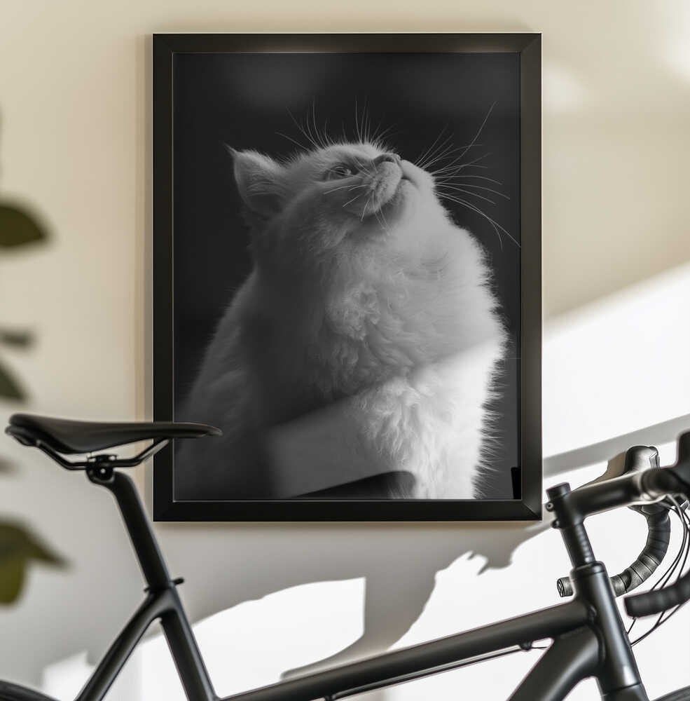 Wall art White in Black