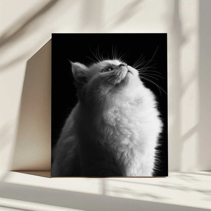 Wall art White in Black