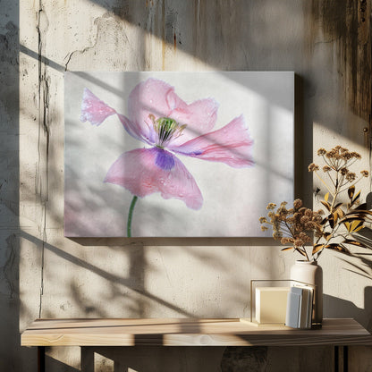 Pastel poppy Wall Artwork In White Floating Frame