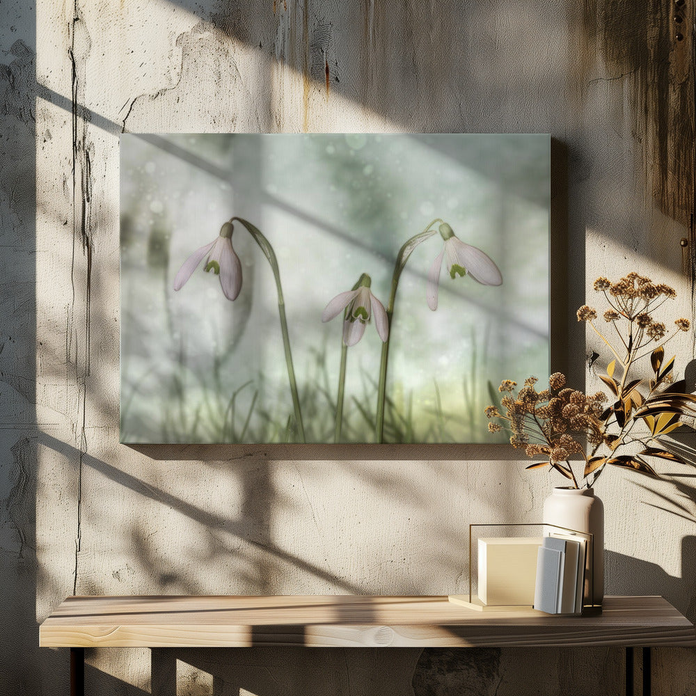  Trio 2 Wall Artwork In White Floating Frame