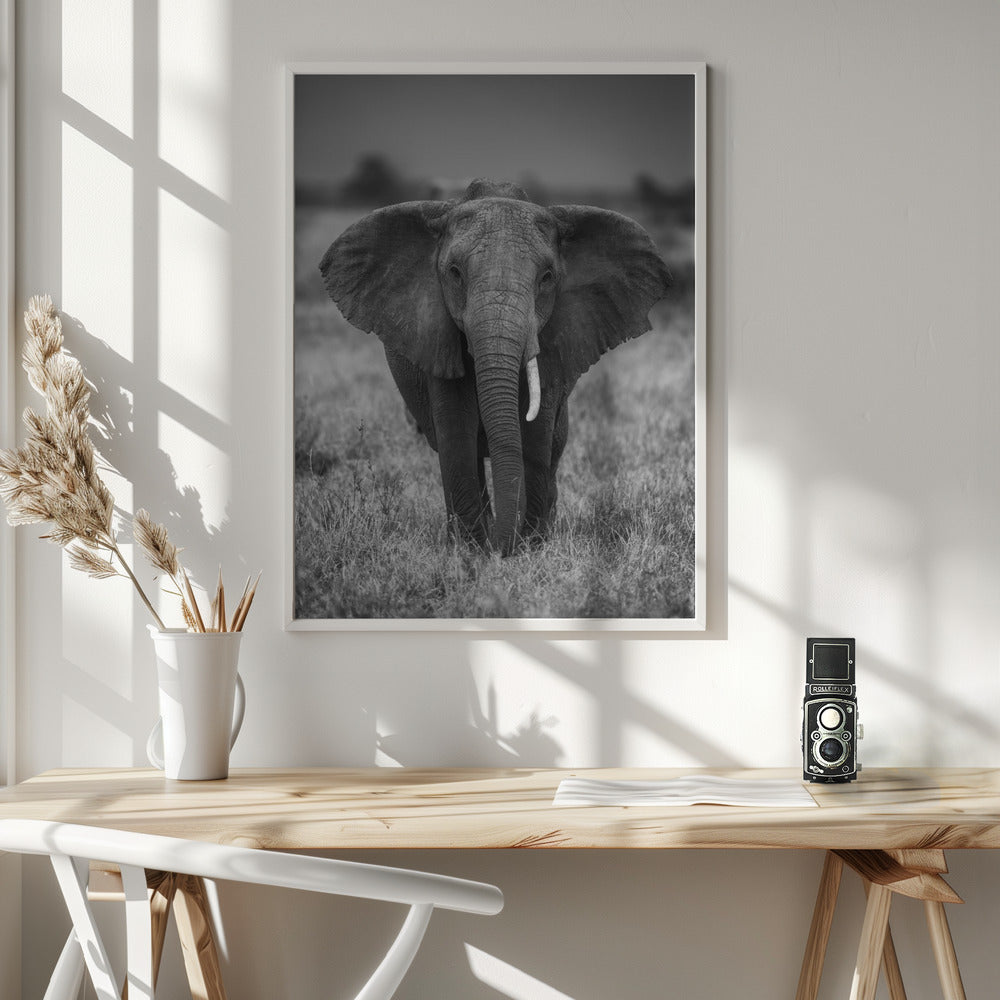  SINGULARITY Wall Artwork In White Floating Frame